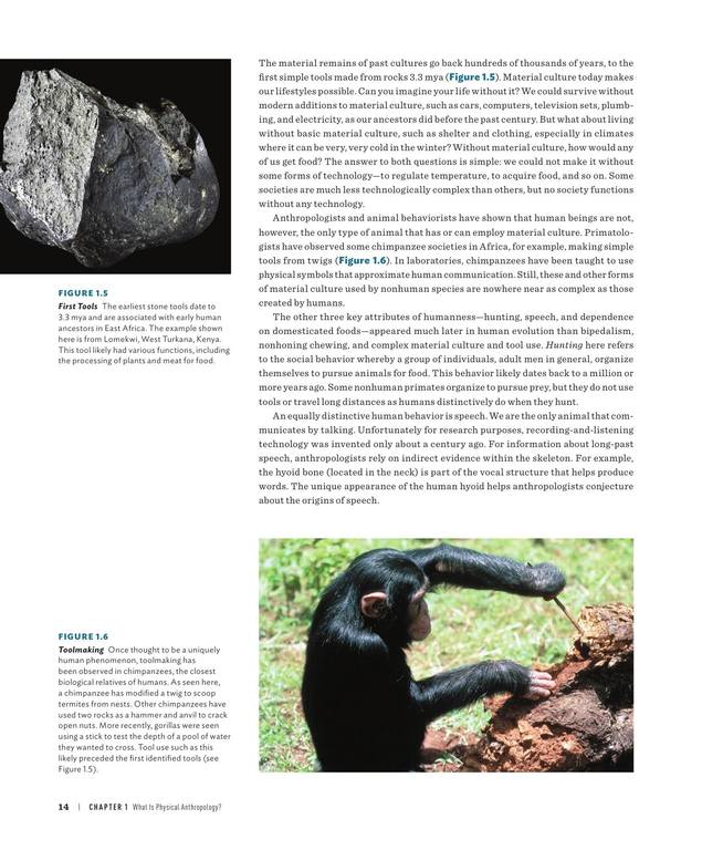 Sanet.ws Our Origins Discovering Physical Anthropology 47