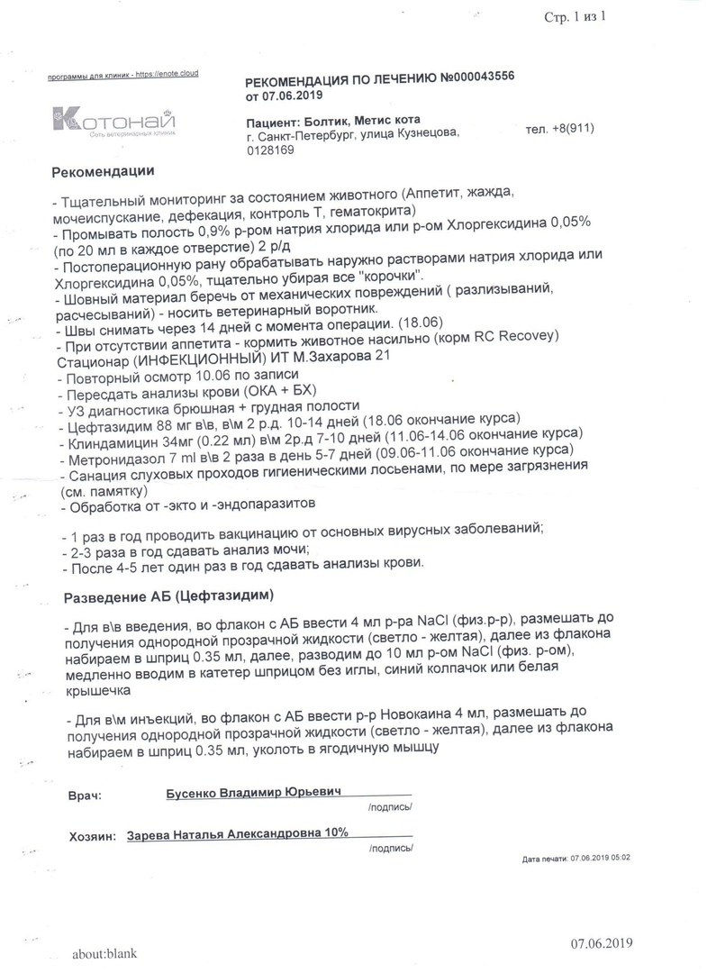 Болтик рекомендации 7 число