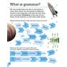 Sanet.st Visual Guide to Grammar and Punctuation - DK 10