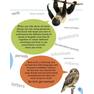 Sanet.st Visual Guide to Grammar and Punctuation - DK 7