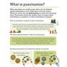 Sanet.st Visual Guide to Grammar and Punctuation - DK 11