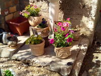 VFL.RU - ваш фотохостинг