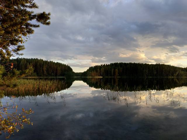 VFL.RU - ваш фотохостинг