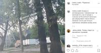 VFL.RU - ваш фотохостинг