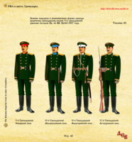 Стр. 42 9-12 Пар. Грен. полки НЧ 1907г