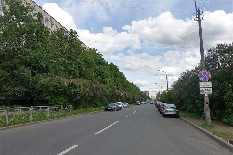 Проспект Просвещения
