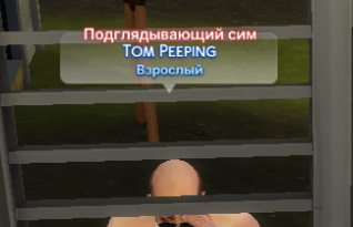 26983652.jpg