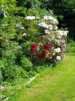 VFL.RU - ваш фотохостинг