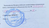 VFL.RU - ваш фотохостинг