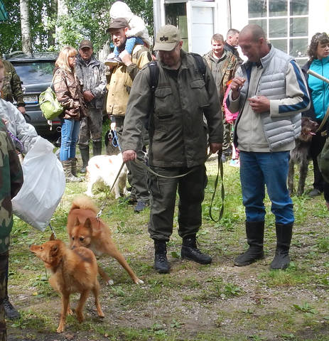 VFL.RU - ваш фотохостинг