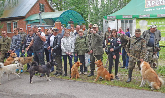 VFL.RU - ваш фотохостинг