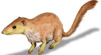 purgatorius