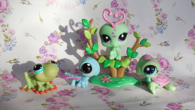 VFL.RU - ваш фотохостинг