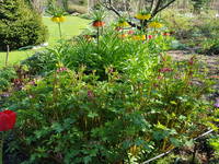 VFL.RU - ваш фотохостинг