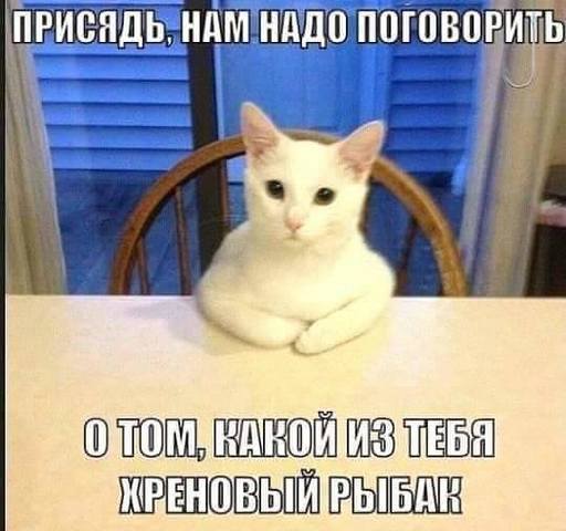 изображение viber 2019-05-22 09-51-33