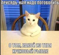 изображение viber 2019-05-22 09-51-33