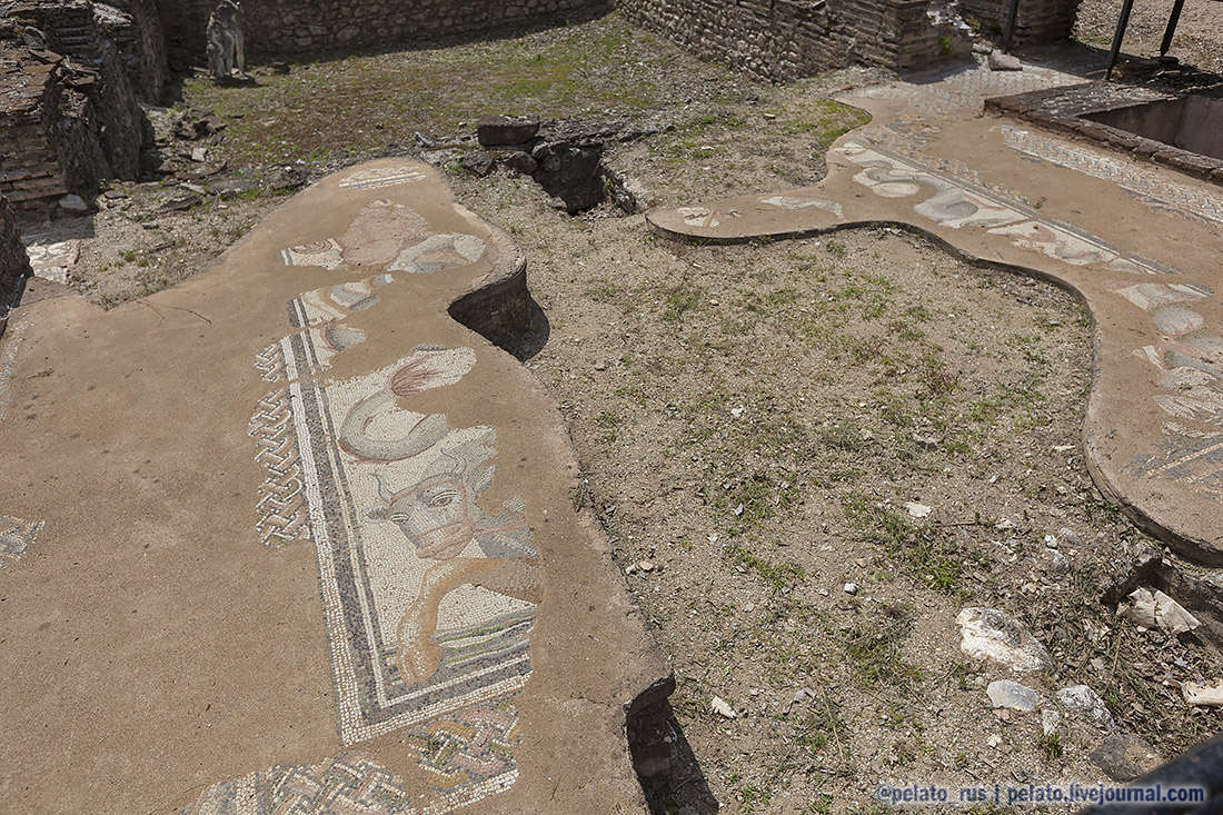 (С) Pelato Blog: pelato.livejournal.com Instagram: @pelato_rus мозаика mosaic термы бани term bath дион dion греция greece antique античный археологический музей парк archaeological museum park