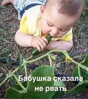 image (1).jpeg