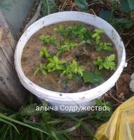 VFL.RU - ваш фотохостинг