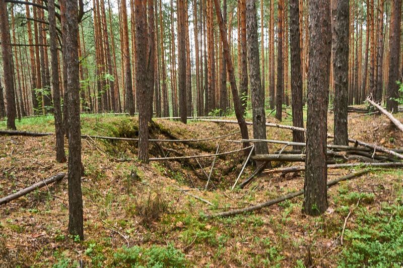 Купить Дом В Старопышминске Березовский