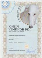 цаца чемп ркф