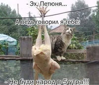 VFL.RU - ваш фотохостинг