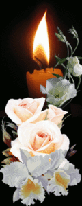 27199553_m.gif