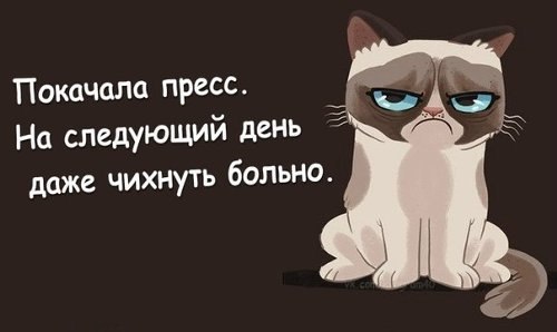tZqq2YeGRiU