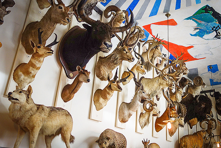 huntingtrophy wall2