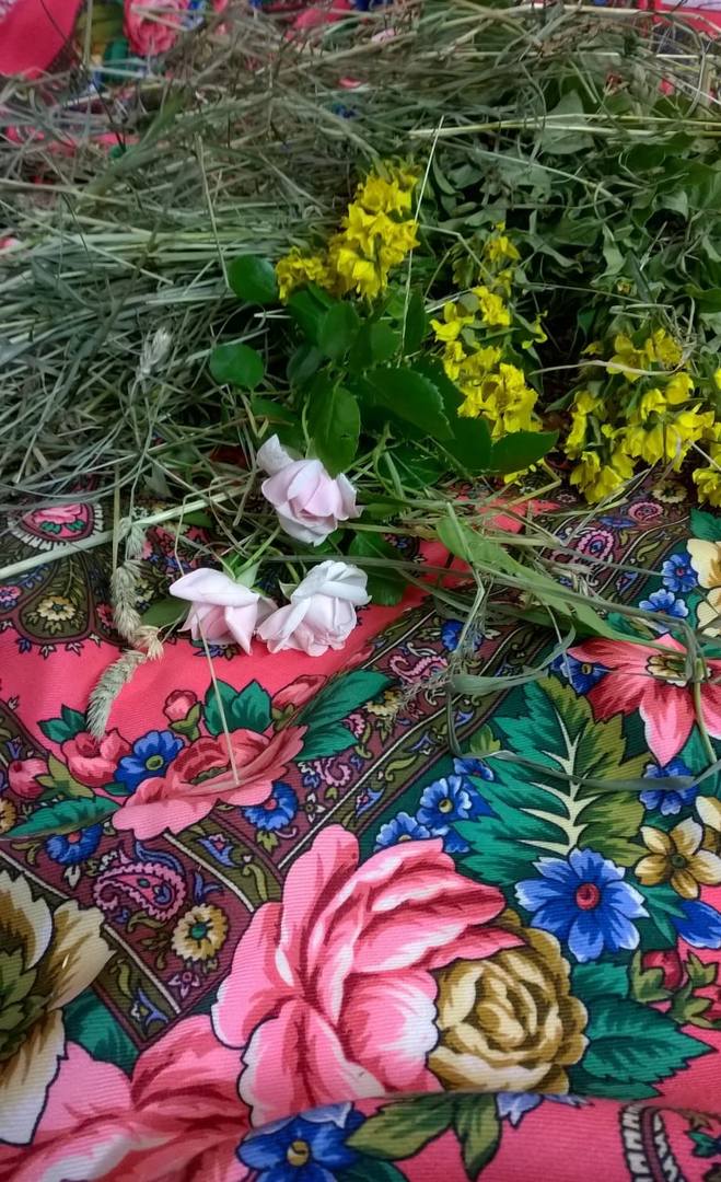 Июль альпийские цветы Остановись мгновение-33