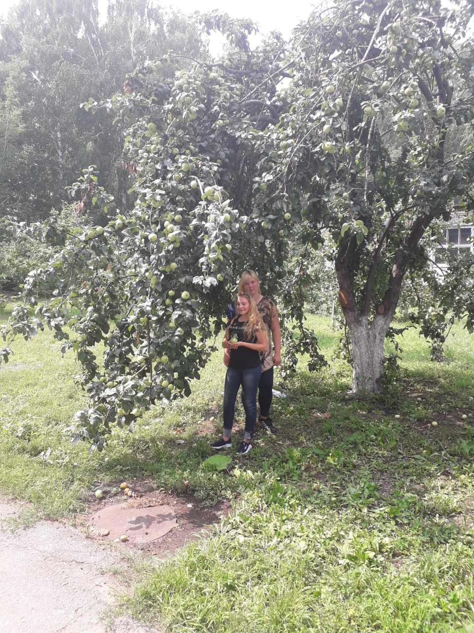 Бойцы студенческого отряда на заготовке яблок для студенческой столовой