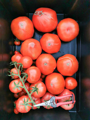 VFL.RU - ваш фотохостинг