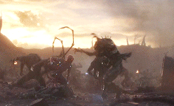 https://images.vfl.ru/ii/1565634788/6c6e71a7/27522479.gif