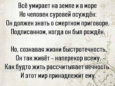 чел и см пригов