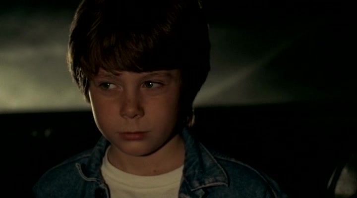 Cohen and Tate 1988 DVDRip 0484