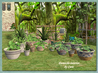 planter4+set2+named