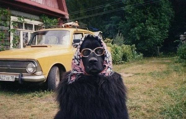 VFL.RU - ваш фотохостинг