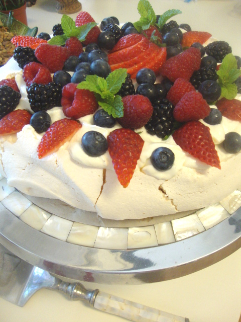 Павлова моя 4