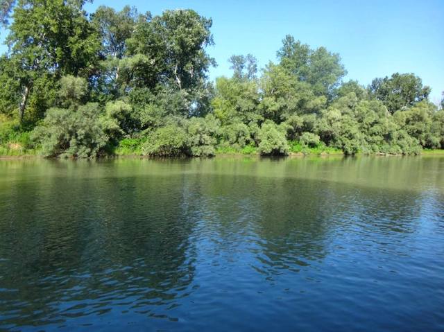 13.08.19., Эпизод водного туризма