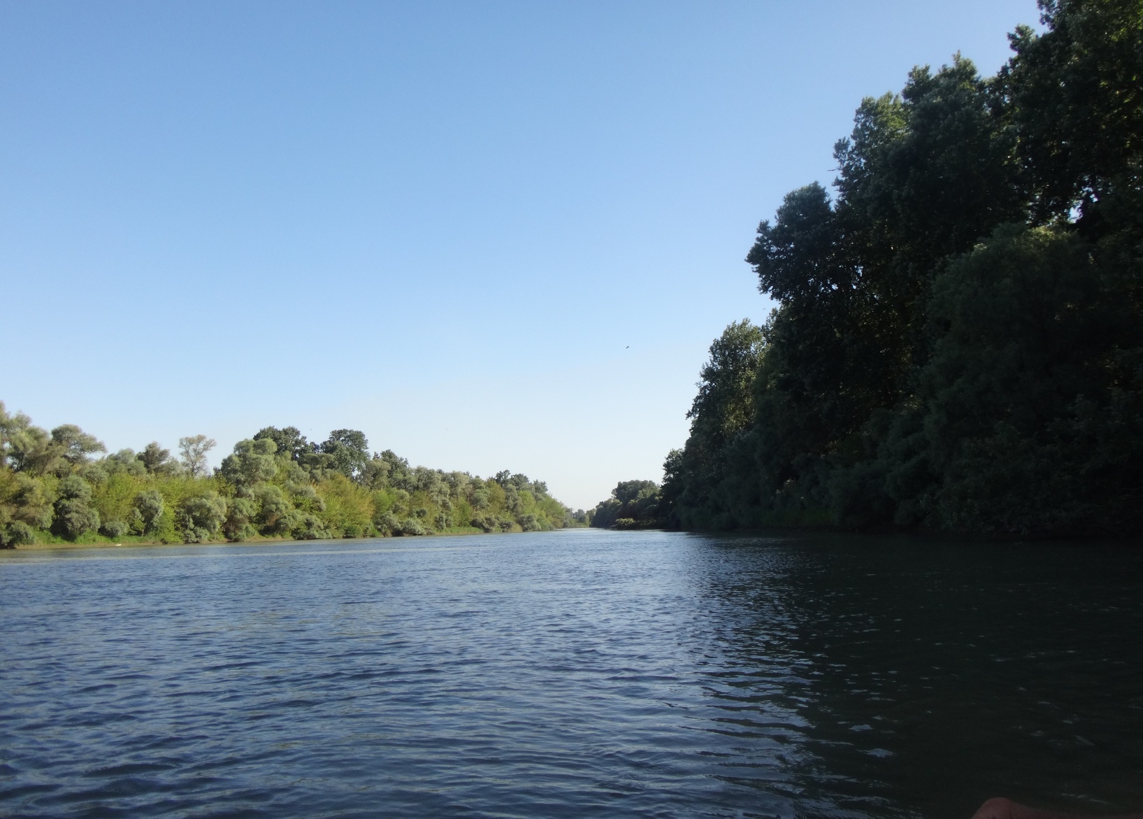 13.08.19., Эпизод водного туризма