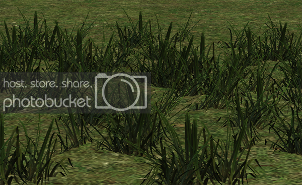 GrowingFloraGrass zpsd483ee46