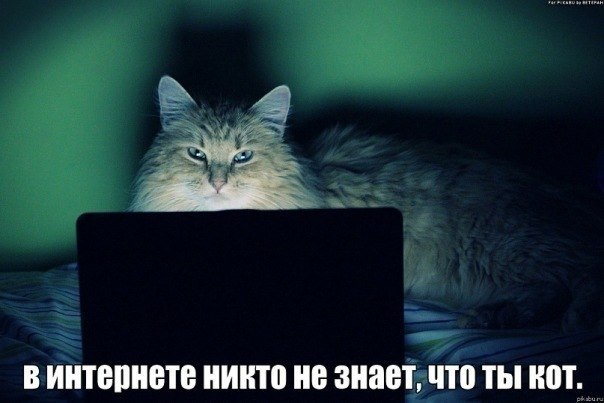 x e11fe62f
