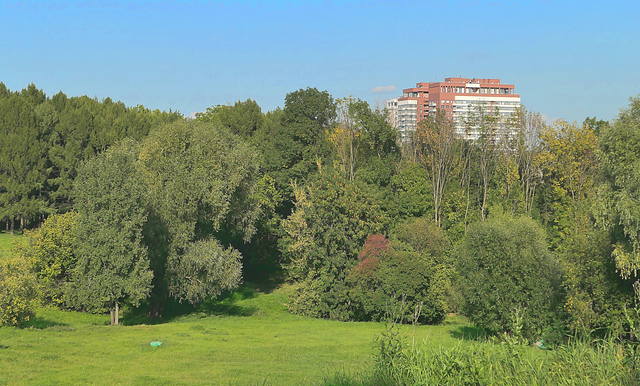 Парк Дворца Молодёжи. Фото Морошкина В.В.
