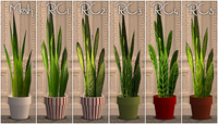 AdventSet1-4