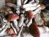 VFL.RU - ваш фотохостинг