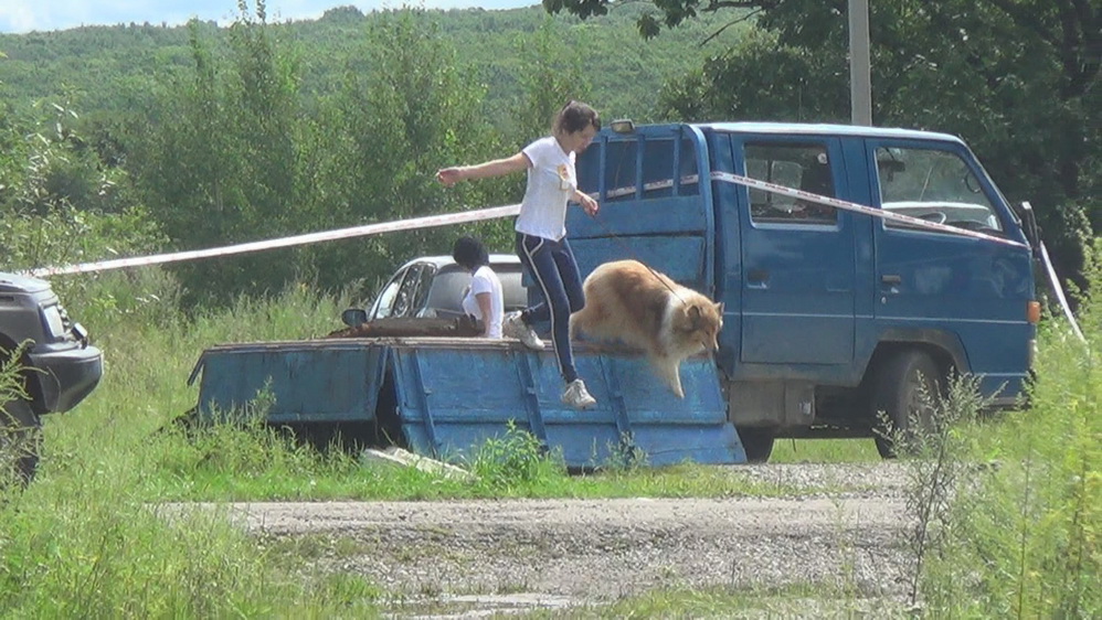 53в