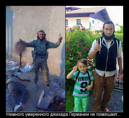 Немного умеренного джихада Германии не помешает