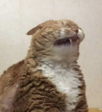 .fak