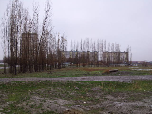 VFL.RU - ваш фотохостинг