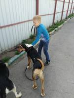 VFL.RU - ваш фотохостинг